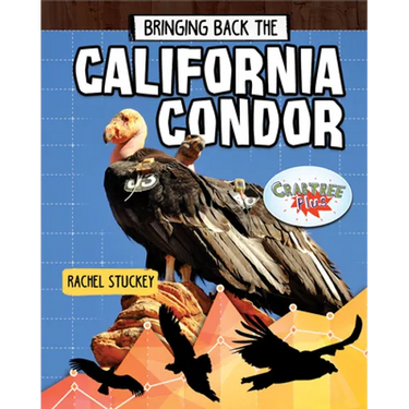 Bringing Back the California Condor