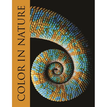 Color in Nature