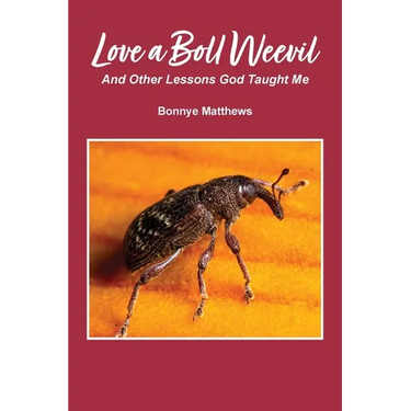 Love a Boll Weevil: And Other Lessons God Taught Me