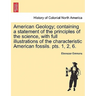 American Geology; containing a statement of the principles of the science, with full illustrations of the characteristic American fossils. pts. 1, 2,