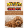 How To Teach Your Cavapoo Puppy: Everything You Need For Your New Cavapoo Puppy Training: Fun Facts About Cavapoo