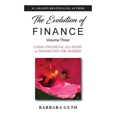 The Evolution of Finance: Using Financial Alchemy to Transcend the Matrix