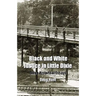 Black and White Justice in Little Dixie: Three Historical Essays