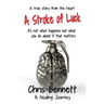 A Stroke of Luck: A Healing Journey Recovering From A Stroke