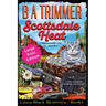 Scottsdale Heat LARGE PRINT EDITION: a fun, romantic, thrilling, adventure...