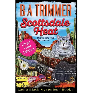Scottsdale Heat LARGE PRINT EDITION: a fun, romantic, thrilling, adventure...