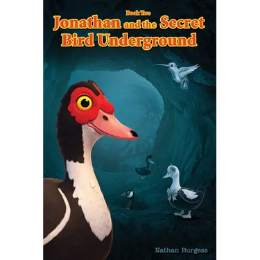 Jonathan and the Secret Bird Underground
