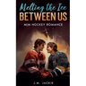 Melting the Ice Between us: MM Hockey Romance