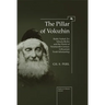 The Pillar of Volozhin: Rabbi Naftali Zvi Yehuda Berlin and the World of Nineteenth Century Lithuanian Torah Scholarship