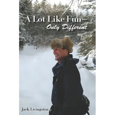 A Lot Like Fun - Only Different