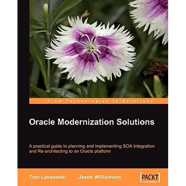 Oracle Modernization Solutions