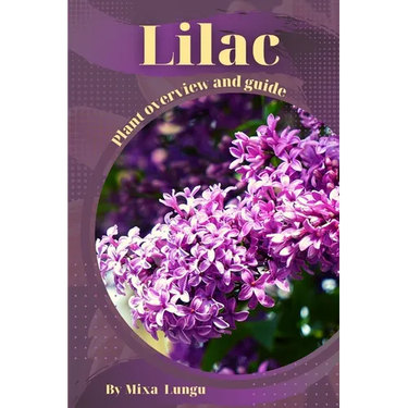 Lilac: Plant overview and guide