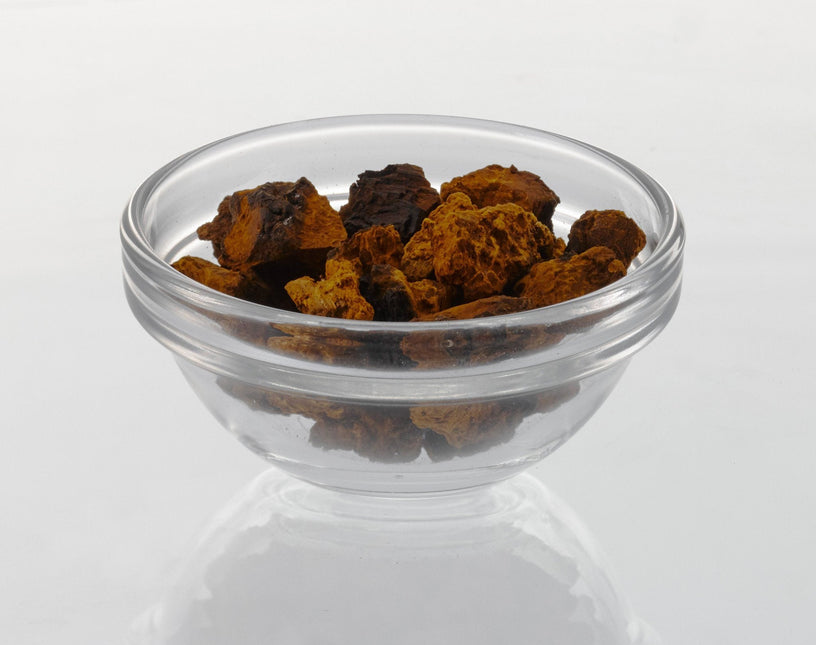 Chaga Nuggets (Wild-Harvested) by Dr. Cowan's Garden
