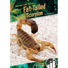 Fat-Tailed Scorpion