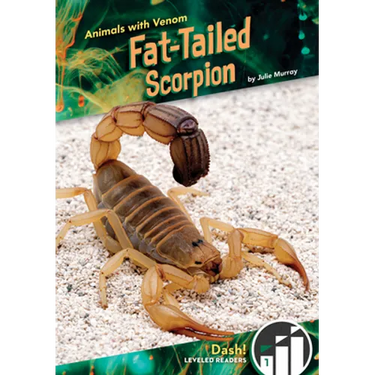 Fat-Tailed Scorpion