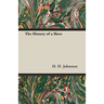 The History of a Slave