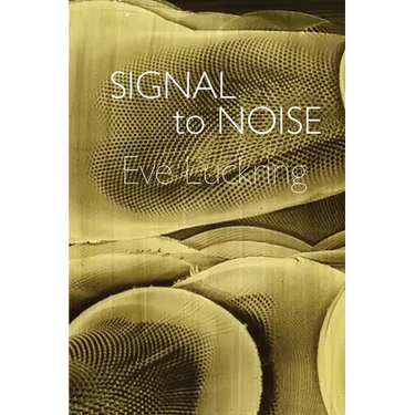 Signal to Noise
