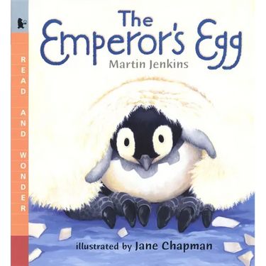 The Emperor's Egg: Read and Wonder