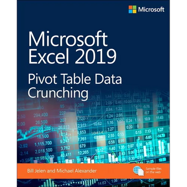 Microsoft Excel 2019 VBA and Macros
