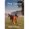 The Castle Charity Ride and the Connemara Pony - Dyslexia Friendly