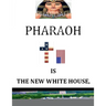 'Pharoah' Is the New White House: BY: Nelson Norman, Writer