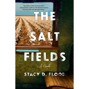 The Salt Fields