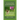 A Concise Book on Hummingbirds: A guide on hummingbirds' species, behavior, feeding, and how to attract hummers in your backyard for beginners