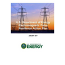U.S. Department of Energy Electromagnetic Pulse Resilience Action Plan