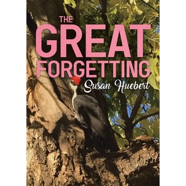 The Great Forgetting