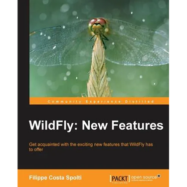 Wildfly: New Features