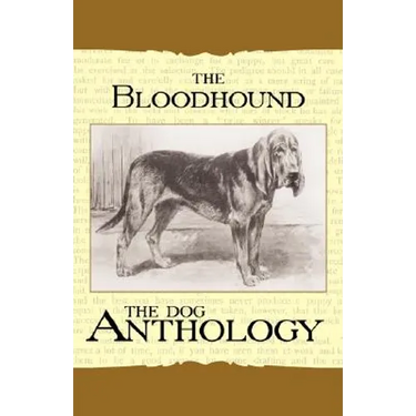 The Bloodhound - A Dog Anthology (A Vintage Dog Books Breed Classic)