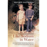 Like Sodium in Water: A memoir of home and heartache