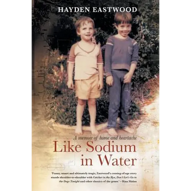 Like Sodium in Water: A memoir of home and heartache