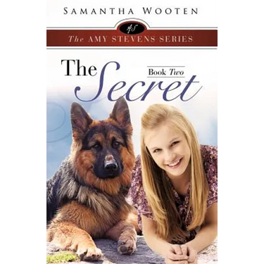 The Amy Stevens Series the Secret Book Two