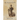 The Genesis of John: Novel Commentary