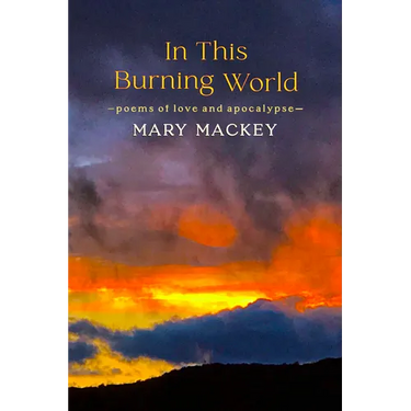 In This Burning World: Poems of Love and Apocalypse