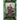 Saint Patrick