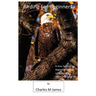 Birding for Beginners
