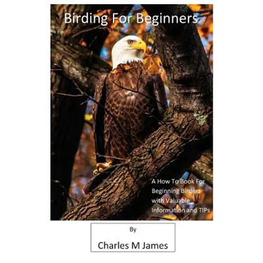 Birding for Beginners
