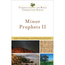 Minor Prophets II: Understanding the Bible Commentary Series
