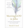 Meeting God in John: Inspiration and Encouragement from the Fourth Gospel