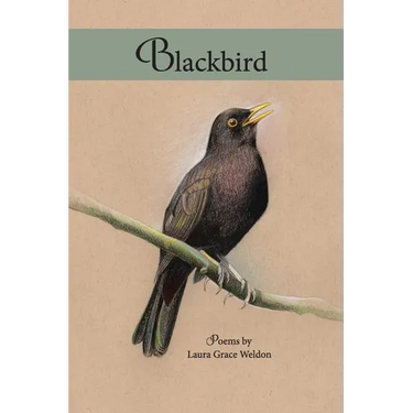 Blackbird: poems