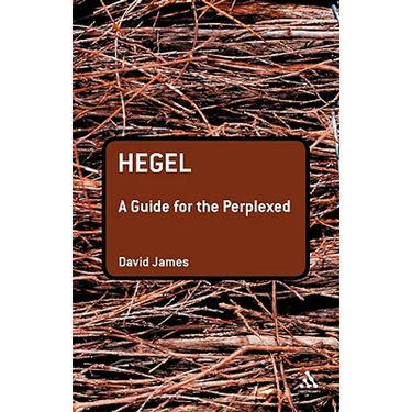 Hegel: A Guide for the Perplexed