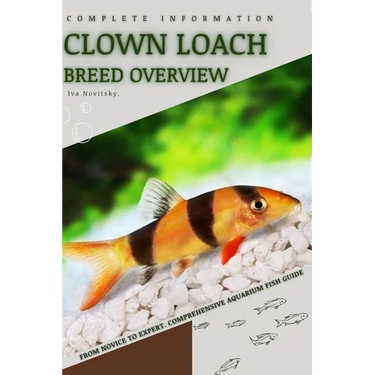 Clown Loach: From Novice to Expert. Comprehensive Aquarium Fish Guide