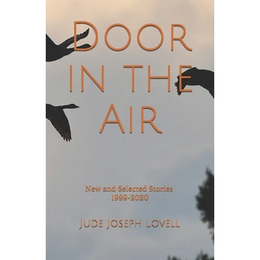 Door in the Air: New and Selected Stories, 1999-2020