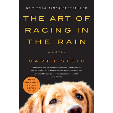 The Art of Racing in the Rain