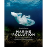 Marine Pollution: Sources, Fate and Effects of Pollutants in Coastal Ecosystems