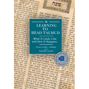 Learning to Read Talmud: What It Looks Like and How It Happens