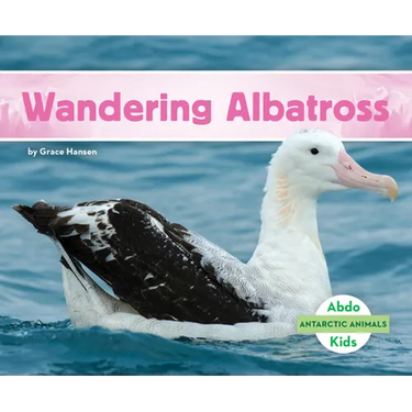 Wandering Albatross