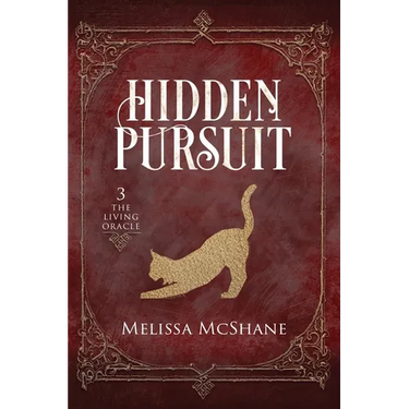 Hidden Pursuit